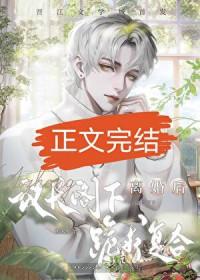 联邦和议会