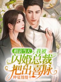 相亲闪婚不料竟是总裁大人