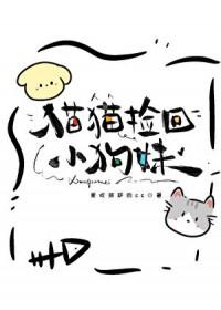 捡到猫狗有什么说法