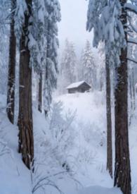 林场停车场怎么收费