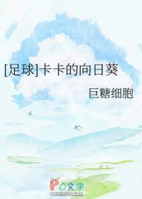 足球卡卡同人晋江