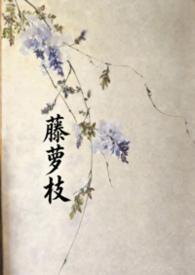 藤萝为枝最好看的推荐