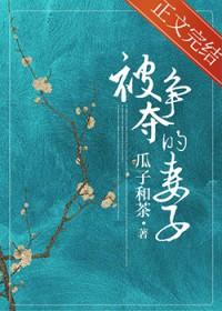 被争夺的妻子类别历史架空作者 瓜子和茶