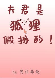 狐狸夫君