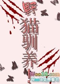 野猫的驯养